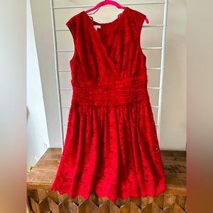 Lace Cocktail Dress